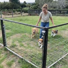 自由に、元気に、笑顔も弾む場所